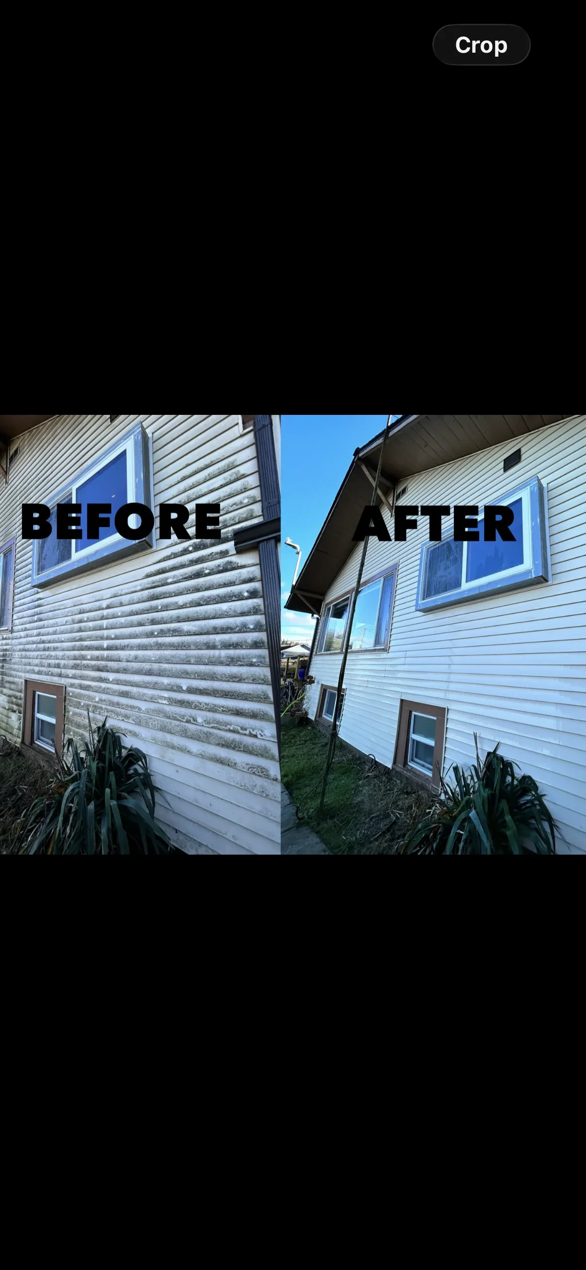 Vinyl siding before and after pressure washing, showing dirt and mold removal