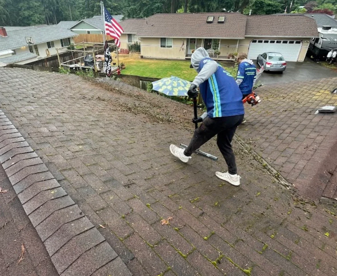 Pressure washing residential driveway and paver patio, removing moss and algae buildup