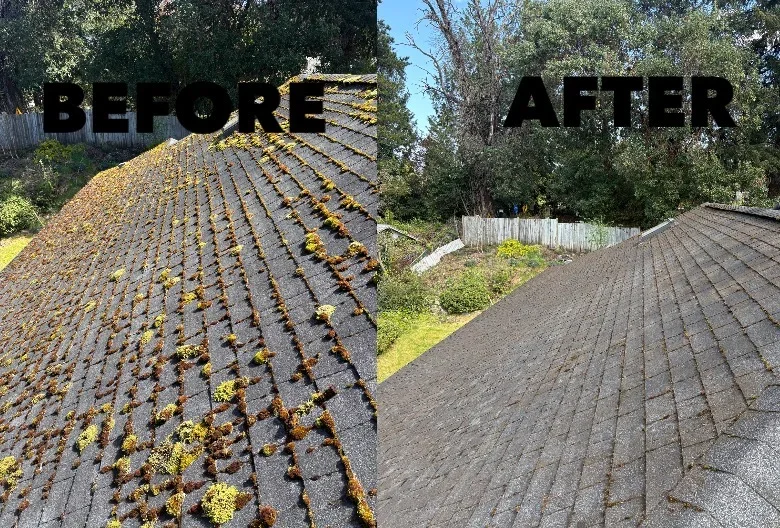 Before and after roof pressure washing removing moss and algae from asphalt shingles