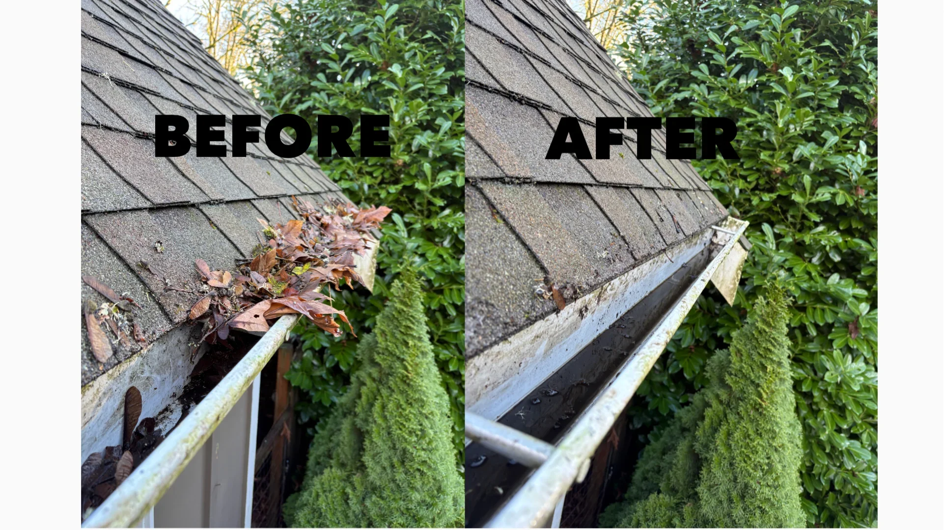 Before and after gutter cleaning showing debris removal from asphalt shingle roof gutters