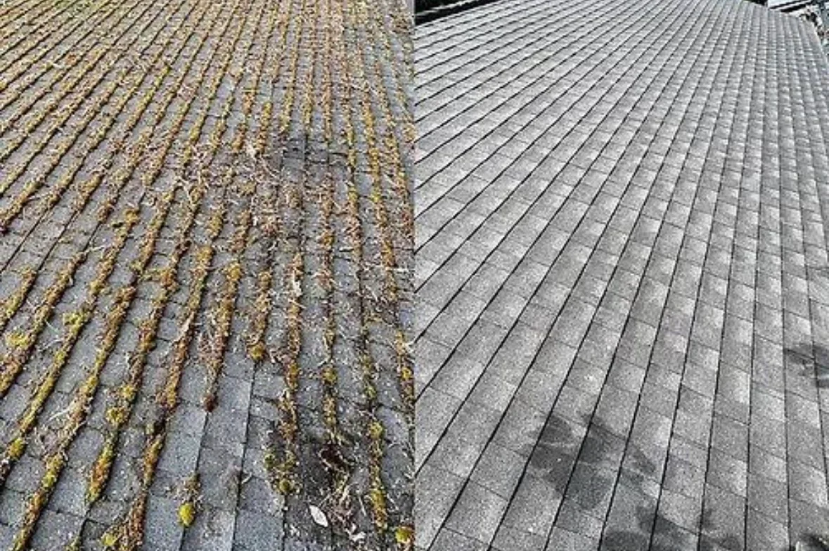 Before and after roof cleaning with moss and algae removal from asphalt shingles